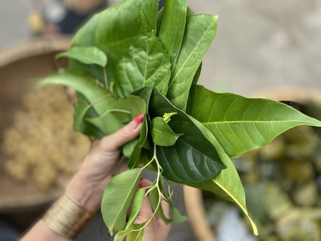 Phiên chợ đặc biệt của người Việt, thay vì tiền thì giao dịch bằng... lá cây - Ảnh 1. Phiên chợ đặc biệt của người Việt, thay vì tiền thì giao dịch bằng... lá cây - Ảnh 1.